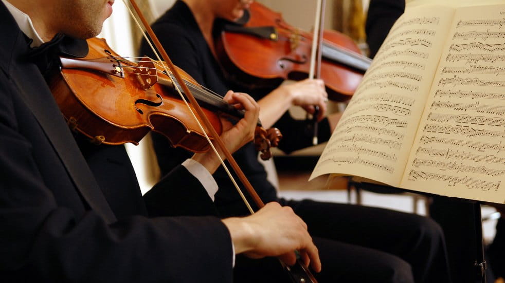 violinist in an orchestra